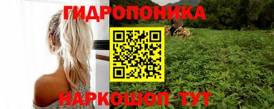 шишки Севастополь