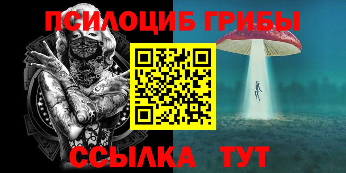 Псилоцибиновые грибы Psilocybine cubensis  Вход с VPN  Серов 